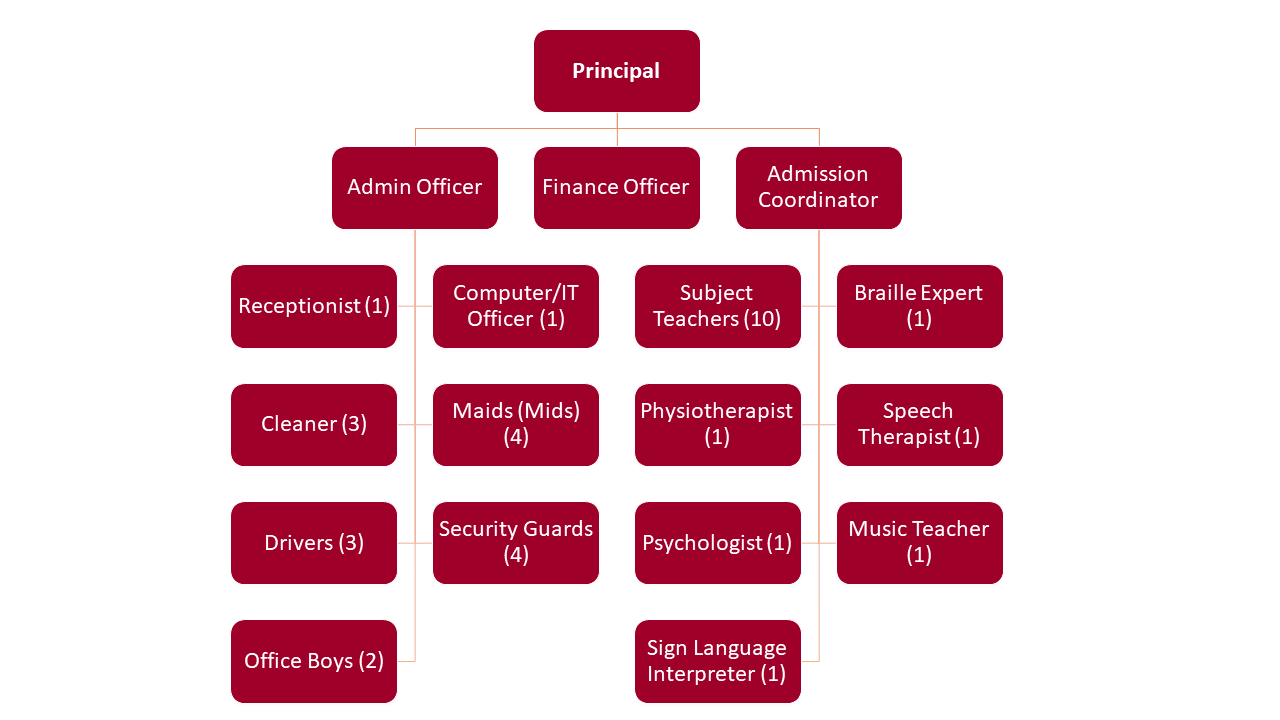Organizational Structure