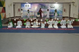 Picture from Pakistan Defence Day Celebration Event at NSSES on Friday, 6th September 2024